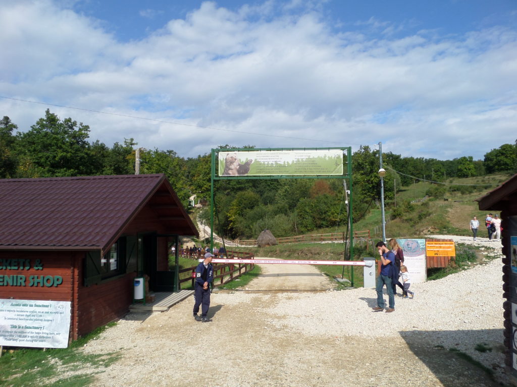 Bear Sanctuary in ZÄrneČti, Romania